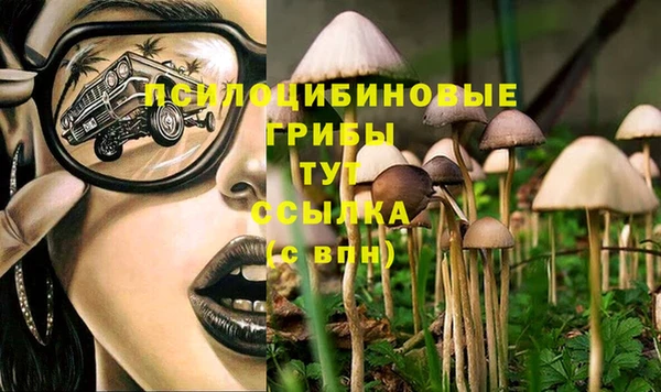 прущие крисы Гусиноозёрск