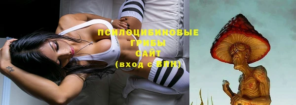 прущие крисы Гусиноозёрск