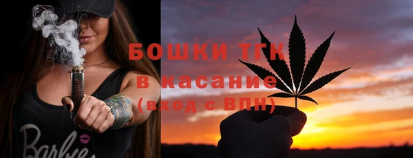 PSILOCYBIN Гусев