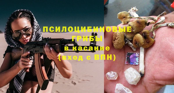 метадон Гусь-Хрустальный