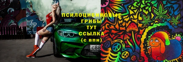 прущие крисы Гусиноозёрск