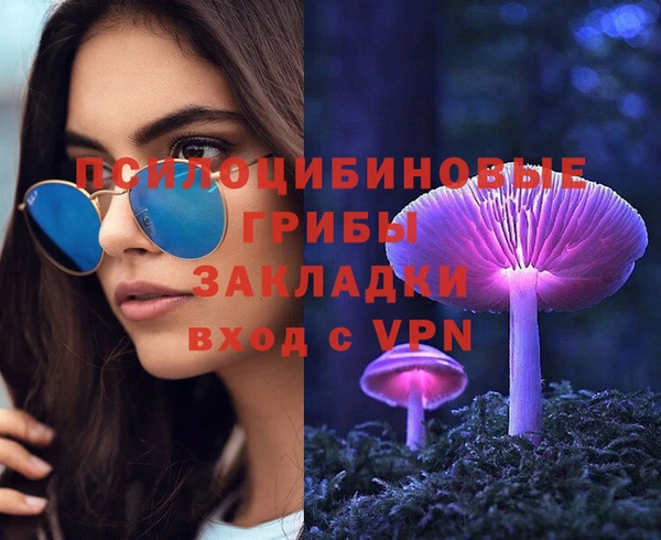 PSILOCYBIN Гусев