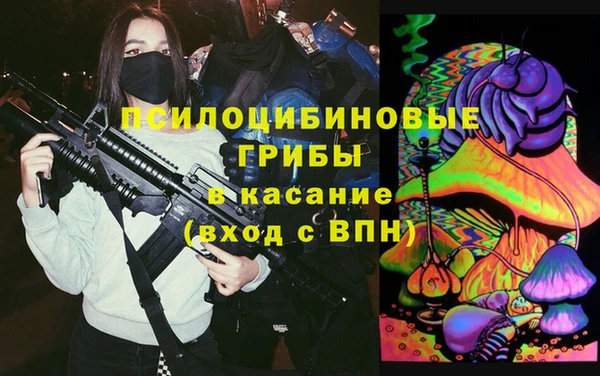 PSILOCYBIN Гусев